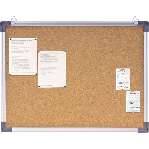 Corkboard, 18" H x 24" W Trail Hammer and Bolt