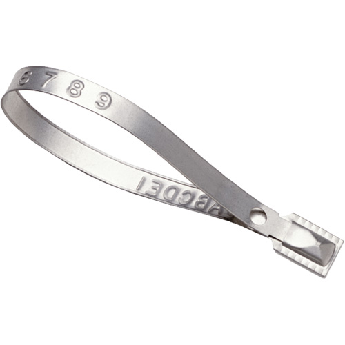 Scell&eacute;s Guard Lock, 8-3/8", M&eacute;tal, Scell&eacute; pour camion Trail Hammer and Bolt