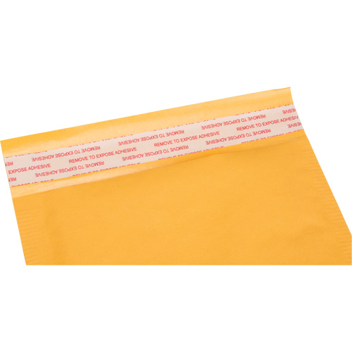 Enveloppes postales coussin&eacute;es, Kraft, 6" la x 10" lo Trail Hammer and Bolt