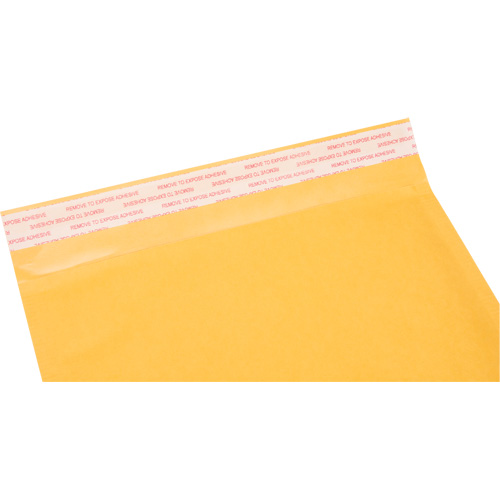 Enveloppes postales coussin&eacute;es, Kraft, 8-1/2" la x 14-1/4" lo Trail Hammer and Bolt