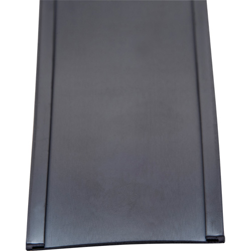 Porte-&eacute;tiquette, Magn&eacute;tique, 600" lo x 2" la Trail Hammer and Bolt