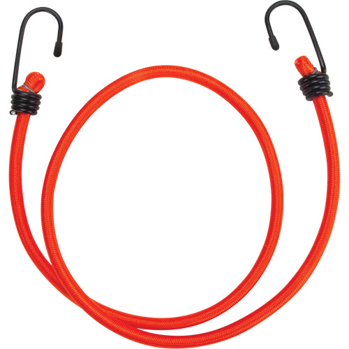 Bungee Cord Tie Downs, 36" Trail Hammer and Bolt