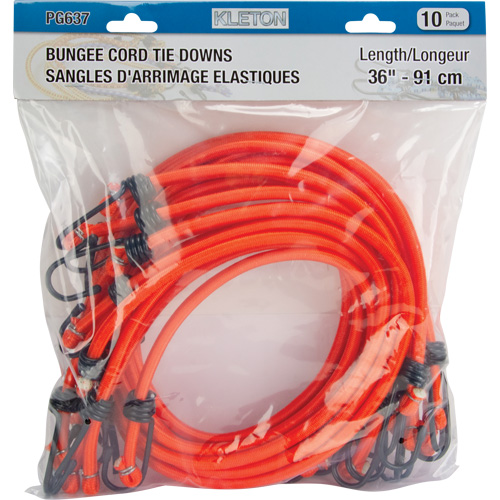 Bungee Cord Tie Downs, 36" Trail Hammer and Bolt