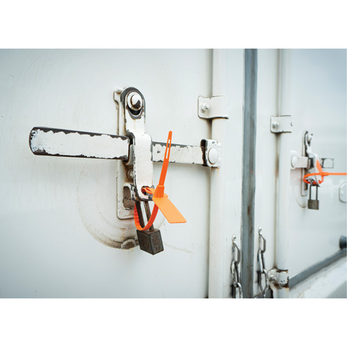 Scell&eacute; de s&eacute;curit&eacute;, 7-3/4", Plastique, Scell&eacute; pour camion Trail Hammer and Bolt