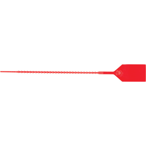 Scell&eacute; de s&eacute;curit&eacute; standard, 9", Plastique, Scell&eacute; en plastique Trail Hammer and Bolt