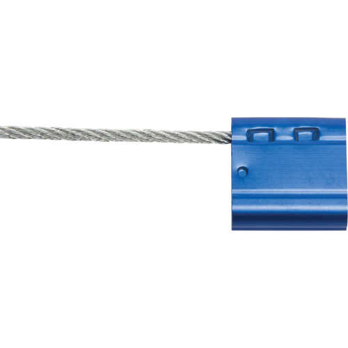Scell&eacute;s de haute s&eacute;curit&eacute;, 12", M&eacute;tal, Scell&eacute; &agrave; c&acirc;ble Trail Hammer and Bolt