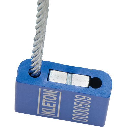 Scell&eacute;s de haute s&eacute;curit&eacute;, 12", M&eacute;tal, Scell&eacute; &agrave; c&acirc;ble Trail Hammer and Bolt