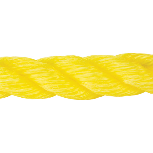 Corde jaune tress&eacute;e, Polypropyl&egrave;ne, 300' Trail Hammer and Bolt