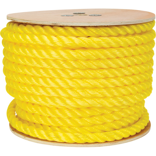 Corde jaune tress&eacute;e, Polypropyl&egrave;ne, 144' Trail Hammer and Bolt