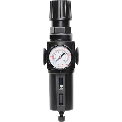Manual Drain Filter/Regulator with Standard Bowl Modulair 300, 1/4" NPT, 150 PSI, 5.1 fl. oz. Capacity Trail Hammer and Bolt