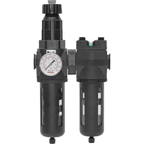 Filtre/d&eacute;tendeur & filtre coalescent Modulair 400 avec bol standard & drain manuel, 3/4" NPTF, 150 psi, Capacit&eacute; de 9,13 oz liq. Trail Hammer and Bolt