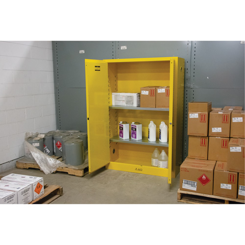 Armoire pour produits inflammables, 45 gal., 2 Porte(s), 43" La x 65" h x 18" p Trail Hammer and Bolt