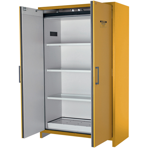 Armoire d'entreposage 90 minutes s&eacute;curitaire et conforme &agrave; la norme EN, 45 gal., 2 Porte(s), 46,97" La x 76,89" h x 24,21" p Trail Hammer and Bolt