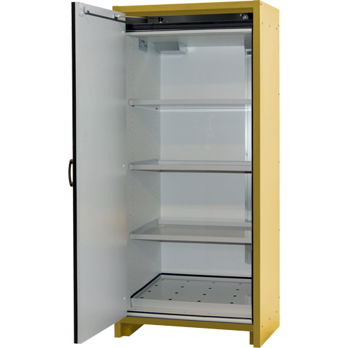 Armoire d'entreposage 30 minutes s&eacute;curitaire et conforme &agrave; la norme EN, 30 gal., 1 Porte(s), 34,02" La x 76,65" h x 24,21" p Trail Hammer and Bolt