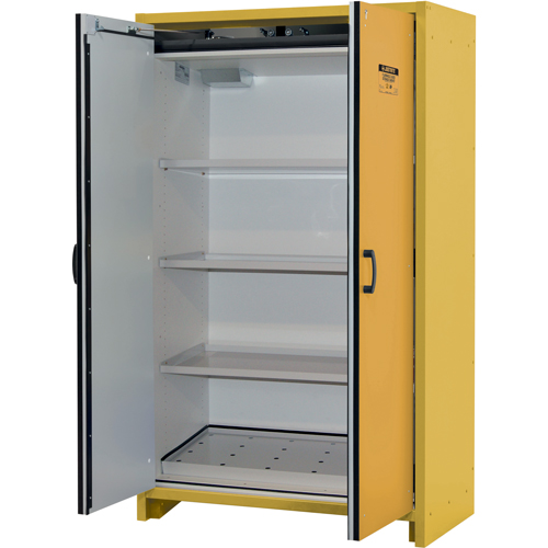 Armoire d'entreposage 30 minutes s&eacute;curitaire et conforme &agrave; la norme EN, 45 gal., 2 Porte(s), 45,83" La x 76,65" h x 24,21" p Trail Hammer and Bolt