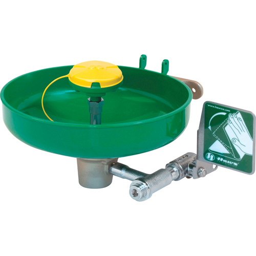 Axion&reg; Eye/Face Wash Station, Wall-Mount Installation, Plastic Bowl Trail Hammer and Bolt