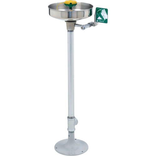 Axion&reg; Eye/Face Wash Station, Pedestal Installation, Stainless Steel Bowl Trail Hammer and Bolt