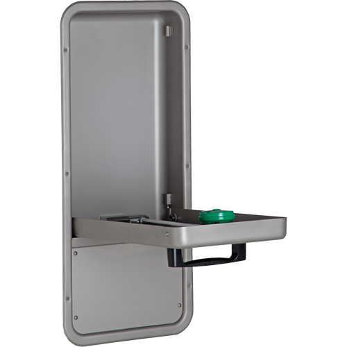 Eye/Face Wash Station, Wall-Mount Installation, Stainless Steel Bowl Trail Hammer and Bolt