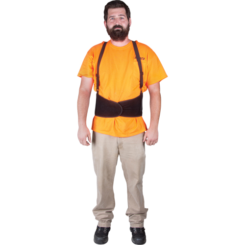 Back Support, Elastic, Small Trail Hammer and Bolt