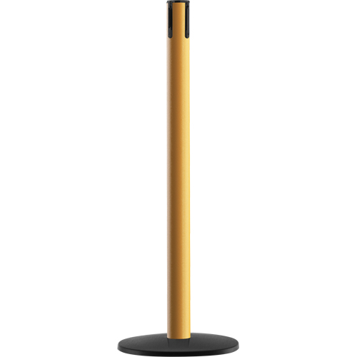 Syst&egrave;me Advance TensaBarrier - Poteau r&eacute;cepteur, Hauteur de 36", Jaune Trail Hammer and Bolt