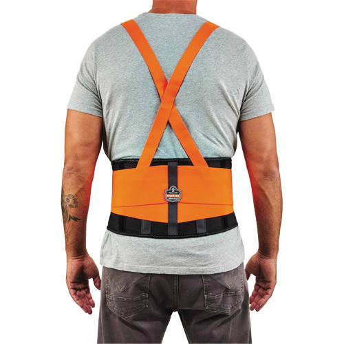 ProFlex 100HV Economy Spandex Hi-Vis Back Support Brace, Elastic, X-Small Trail Hammer and Bolt