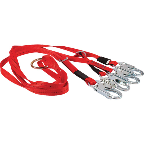 Dynamic Bridle for Wire Basket Stretcher Trail Hammer and Bolt