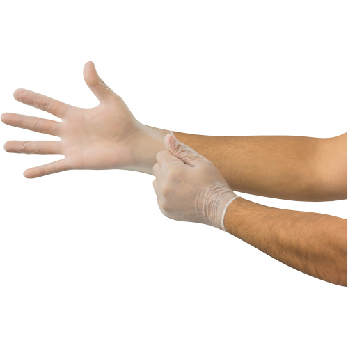 Gants jetables Derma Free MICROFLEX DF-850, 10/9,5/T-Grand, Vinyle, 3,1 mils/3,5 mils, Sans poudre, Transparent, Classe 2 Trail Hammer and Bolt