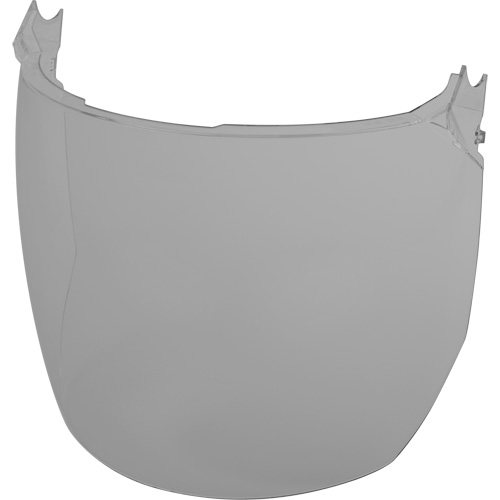 Lentilles de remplacement d&eacute;cran facial, Polycarbonate, Teinte Grise/fum&eacute;e Trail Hammer and Bolt
