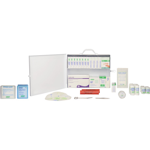 First Aid Kit, Meets CSA Z1220-17 Type 2 Low-Risk Environment, Large (51-100 Workers) Trail Hammer and Bolt