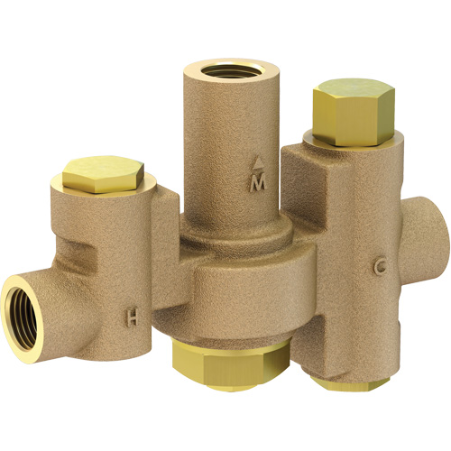 Vanne m&eacute;langeuse thermostatique de moyenne capacit&eacute; pour les douches oculaires et faciales individuelles, 2 - 35,1 gal./min Trail Hammer and Bolt