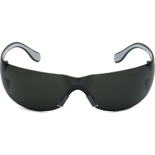 Adapt Lite Safety Glasses, Smoke Lens, Anti-Fog/Anti-Scratch, ANSI Z87+/Meets/Exceeds CSA Z94.3 Trail Hammer and Bolt