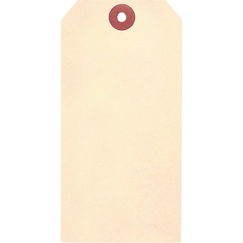 &eacute;tiquettes vierges en papier cartonn&eacute; de manille, Papier cartonn&eacute;, 1-7/8" la x 3-3/4" h Trail Hammer and Bolt
