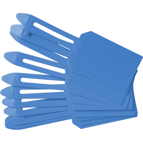 &eacute;tiquettes de cadenassage vierges en plastique, Plastique, 3-1/4" la x 5-4/5" h, Vierge Trail Hammer and Bolt