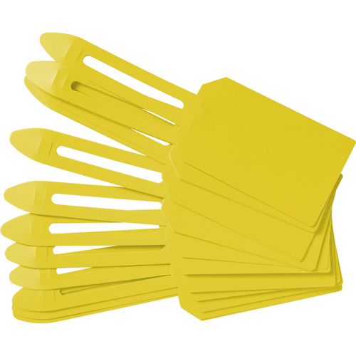 &eacute;tiquettes de cadenassage vierges en plastique, Plastique, 3-1/4" la x 5-4/5" h, Vierge Trail Hammer and Bolt