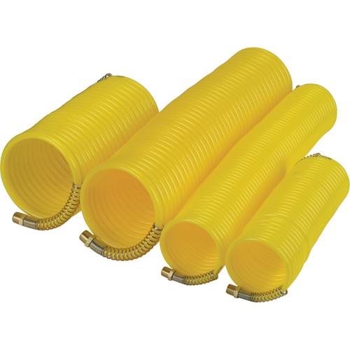 Tuyaux pneumatiques en nylon spiral&eacute; a/raccords, Air, 1/4" DI x 25' lo, Nylon, 200 psi &agrave; 23°C Trail Hammer and Bolt