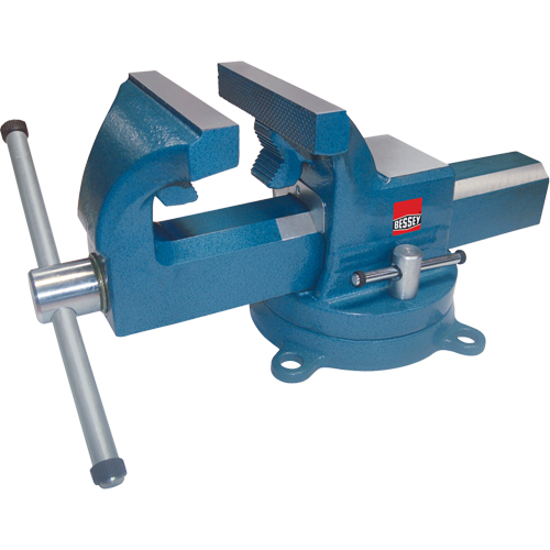 &eacute;taux industriels robustes pour &eacute;tabli, Largeur des m&acirc;choires 4", Profondeur de la gorge 2-3/8" Trail Hammer and Bolt