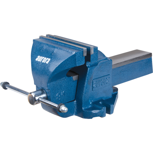 &eacute;tau d'&eacute;tabli robuste, Largeur des m&acirc;choires 8", Profondeur de la gorge 4" Trail Hammer and Bolt