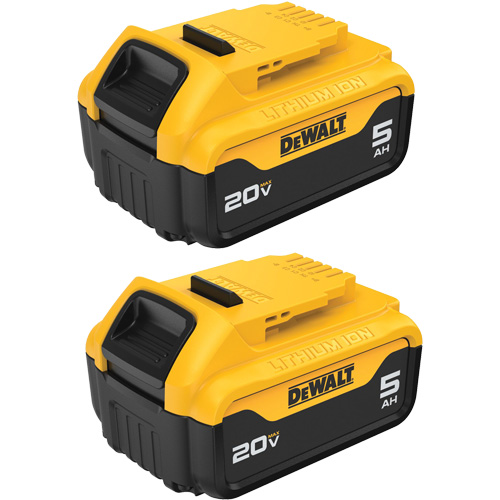 Bloc-piles Max XR Premium, Lithium-ion, 20 V, 5 A Trail Hammer and Bolt