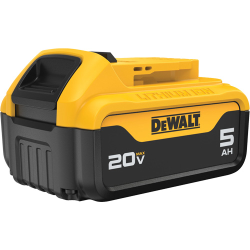 Bloc-piles Max XR Premium, Lithium-ion, 20 V, 5 A Trail Hammer and Bolt