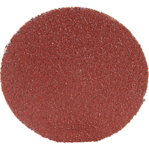Roloc Disc 361F, 1-1/2" Dia., P100 Grit, Aluminum Oxide Trail Hammer and Bolt