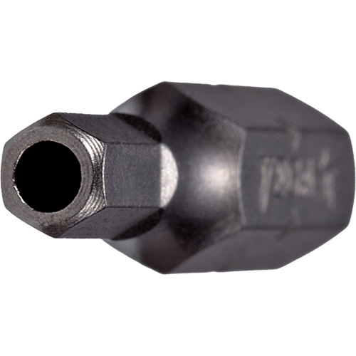 Insert Bit Trail Hammer and Bolt