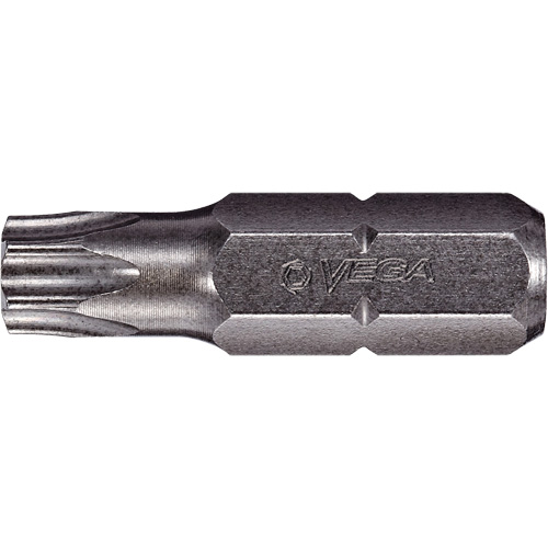 Embout inviolable Trail Hammer and Bolt