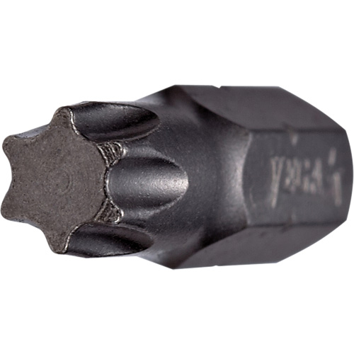 Embout inviolable Trail Hammer and Bolt