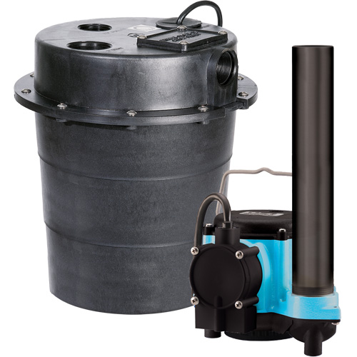 Pompe imerg&eacute;e s&eacute;rie WRS, 45 gal./min, 115 V, 9 A, 1/3 CV Trail Hammer and Bolt
