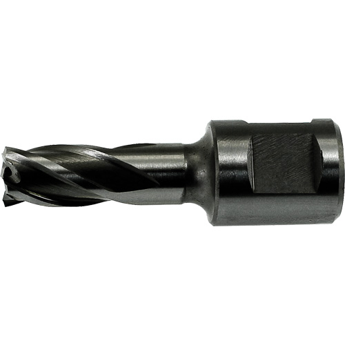 Guide de fraise annulaire DRILLCO Trail Hammer and Bolt