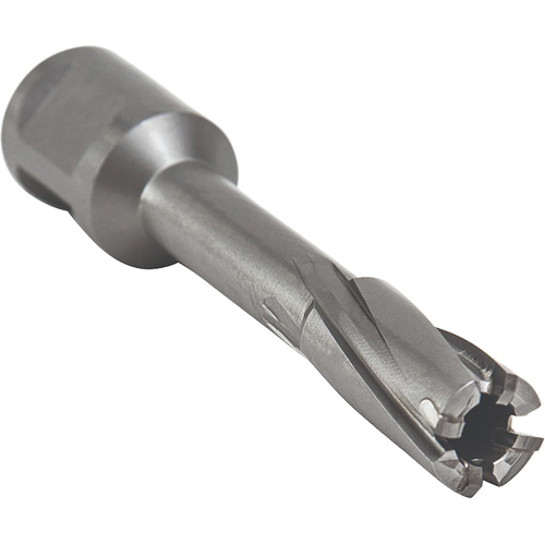 Outil de coupe annulaire avec mandrin soud&eacute;, Diam&egrave;tre de 12 mm, Carbure, Profondeur de la coupe de 55 mm, Tige 3/4" Trail Hammer and Bolt