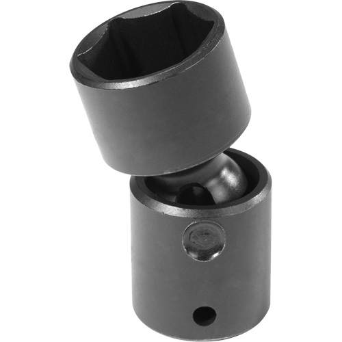 Douille universelle, Chocs, 1-1/8", Prise 1/2", 6 pans Trail Hammer and Bolt
