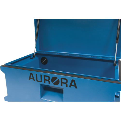 Coffre &agrave; outils de chantier, 33" x 20-3/10" x 18-3/10", Acier, Bleu Trail Hammer and Bolt