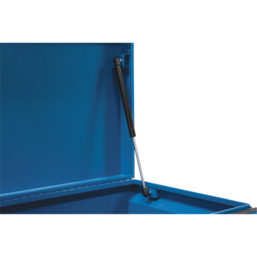 Coffre &agrave; outils de chantier, 33" x 20-3/10" x 18-3/10", Acier, Bleu Trail Hammer and Bolt