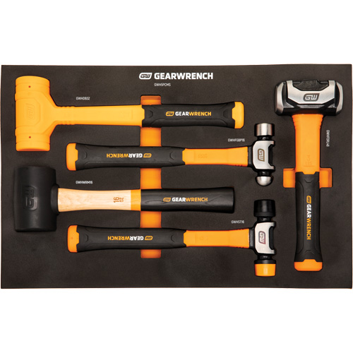 Mixed Hammer Set in Foam Storage Tray, 5 Pieces Trail Hammer and Bolt